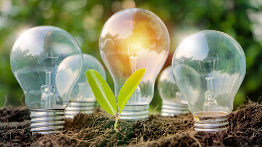 light bulbs and seedlings signifying green energy